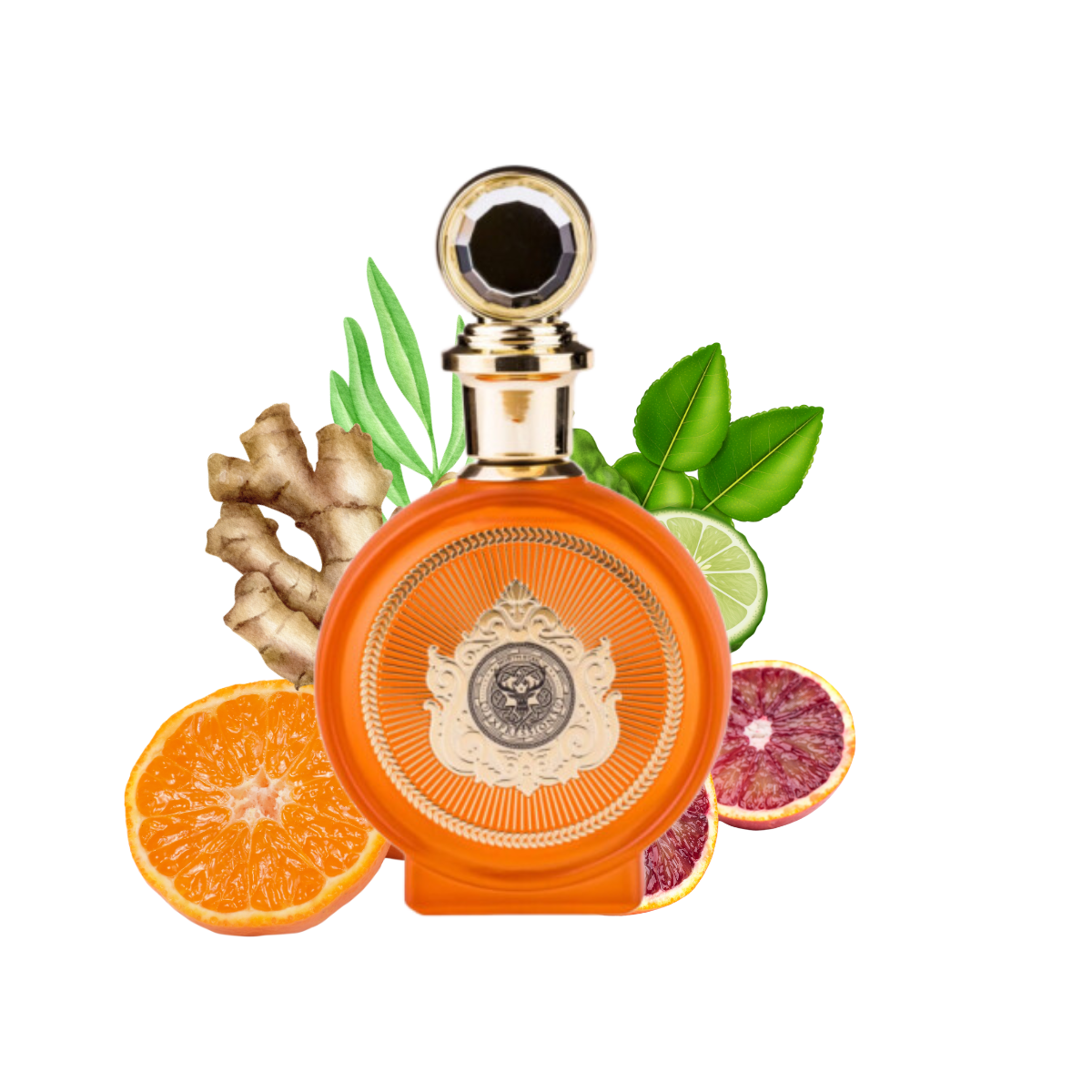 Buy North Stag Expressions IV QUARTE | Aromaconcepts – Aroma Buy North Stag Expressions IV QUARTE | Aromaconcepts – Aroma
