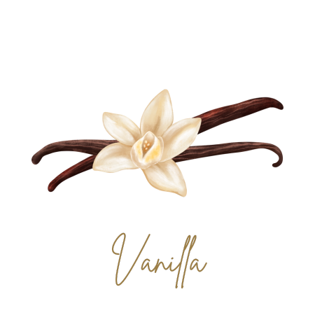 Vanilla Collection