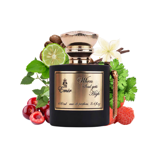 WHEN SOUL GETS HIGH EMIR