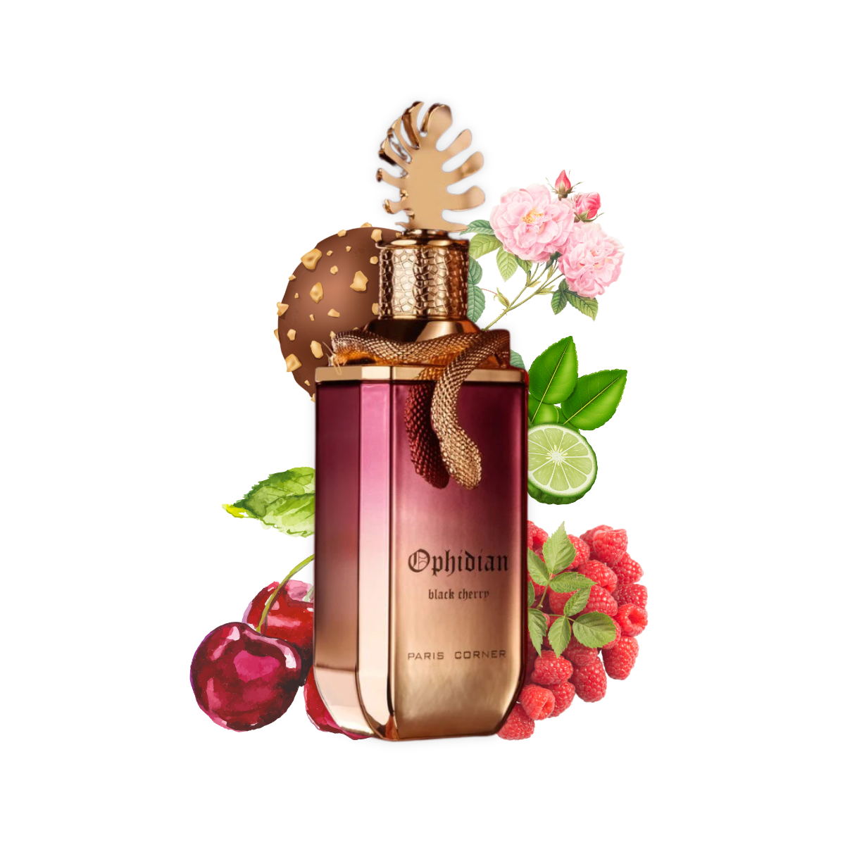 Ophidian Black Cherry 100ml – Aroma Concepts LLC