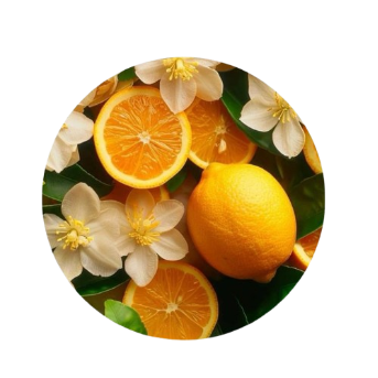 citrusy fragrance