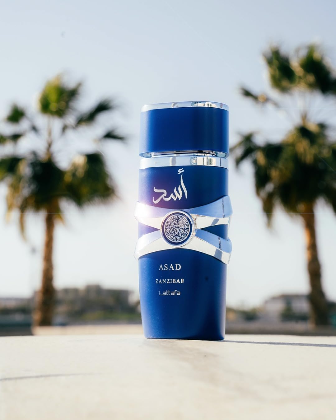 Asad Zanzibar Lattafa 100ml – Aroma Concepts LLC