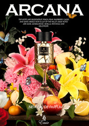 ARCANA EMIR - Fruity fragrance for Men 