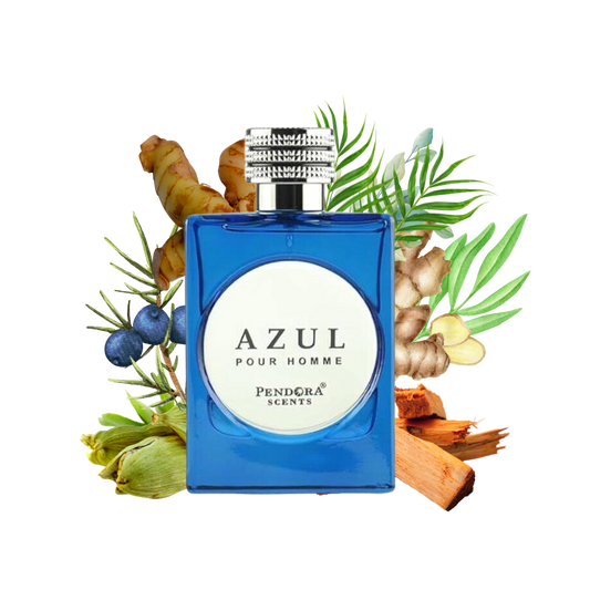 AZUL POUR HOMME