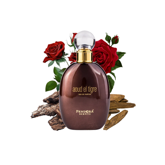 Aoud Tigre