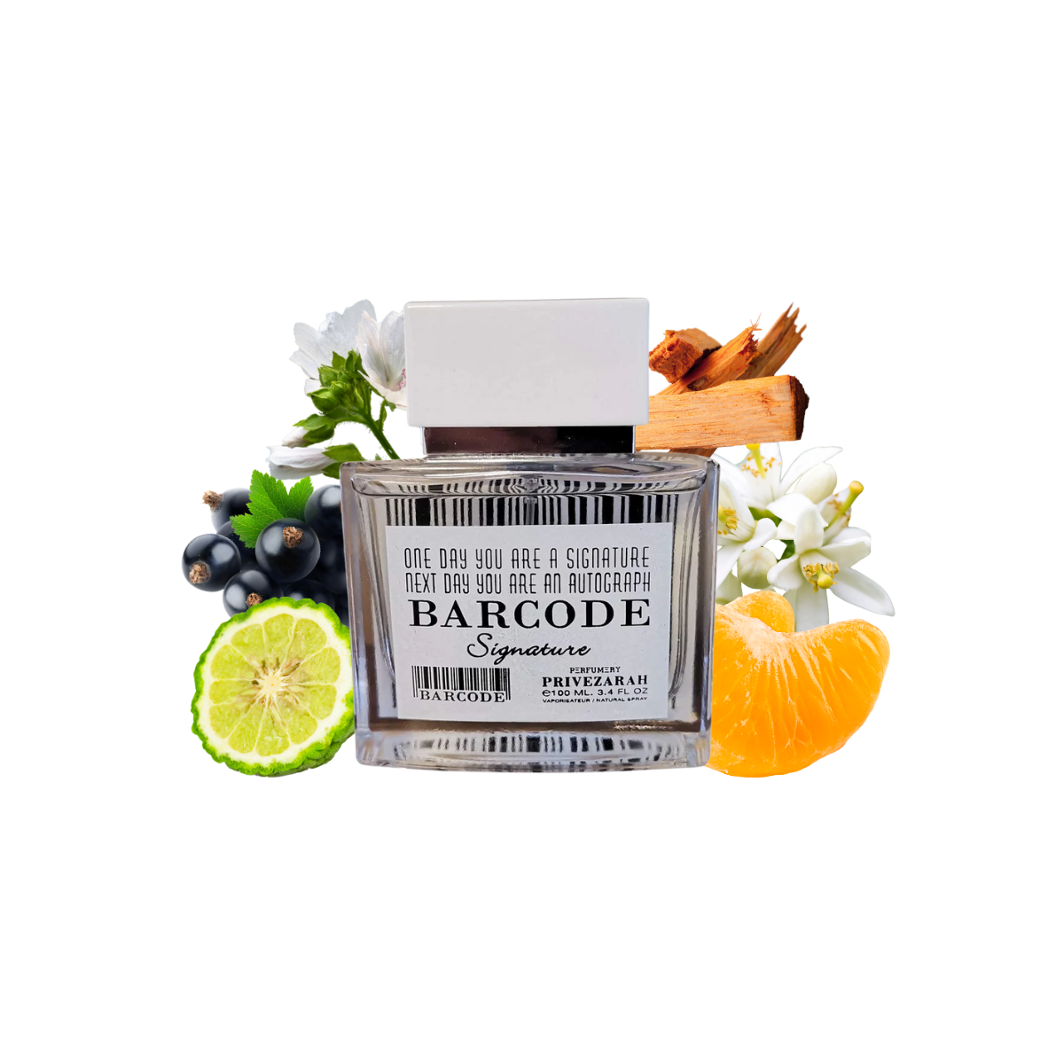 Base Code Perfume The Refreshing Barcode Signature Perfume | Aromaconcepts – Aroma ...