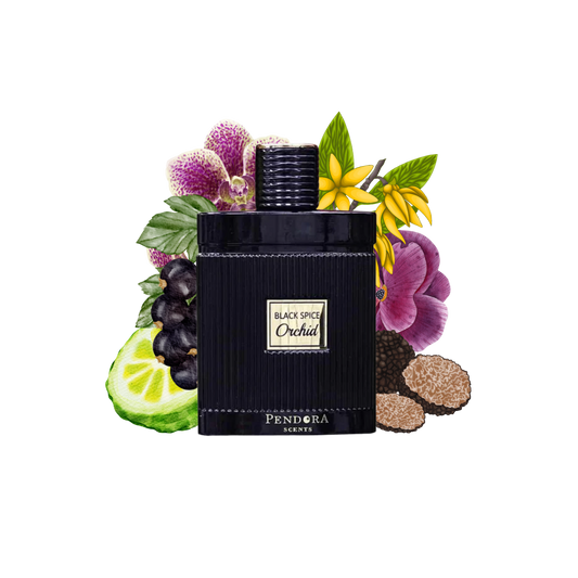 BLACK SPICE ORCHID PENDORA