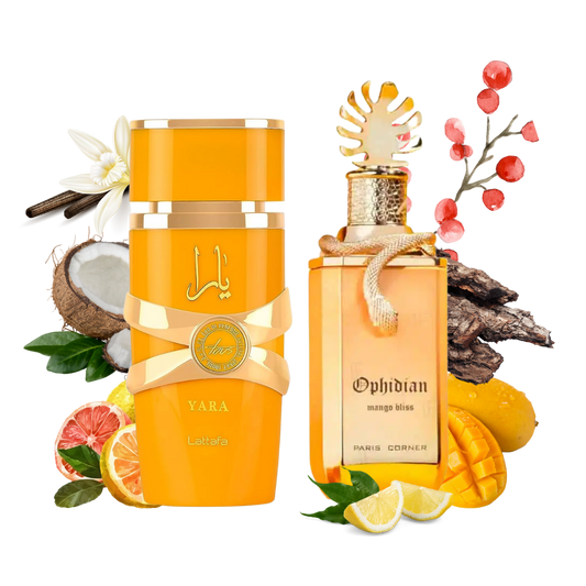 Bundle Yara Tous & Ophidian Mango Bliss