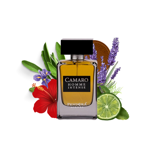 CAMARO HOMME INTENSE