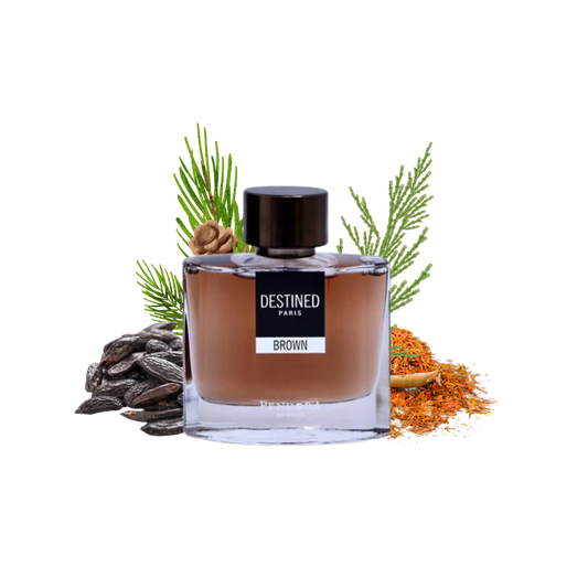 DESTINED BROWN PENDORA