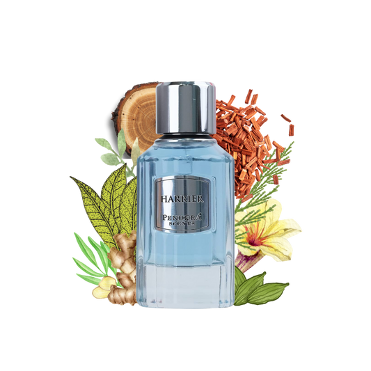 HARRIER PENDORA 50ml
