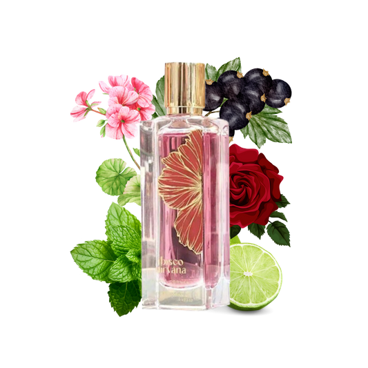 Ibisco Nirvana 65ml