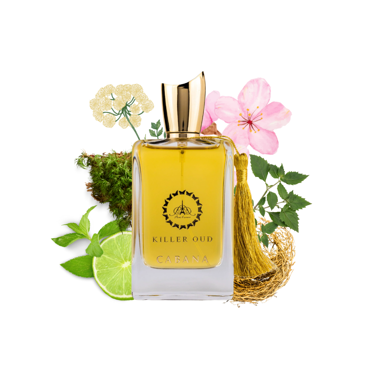 Killer Oud Cabana