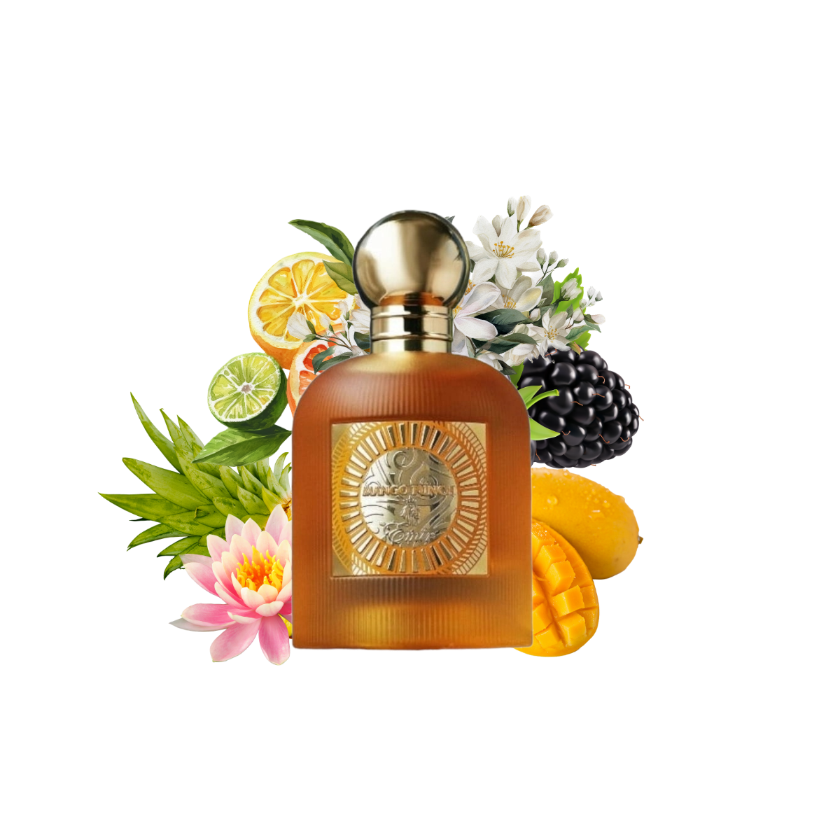 Mango Punch Emir 100ml
