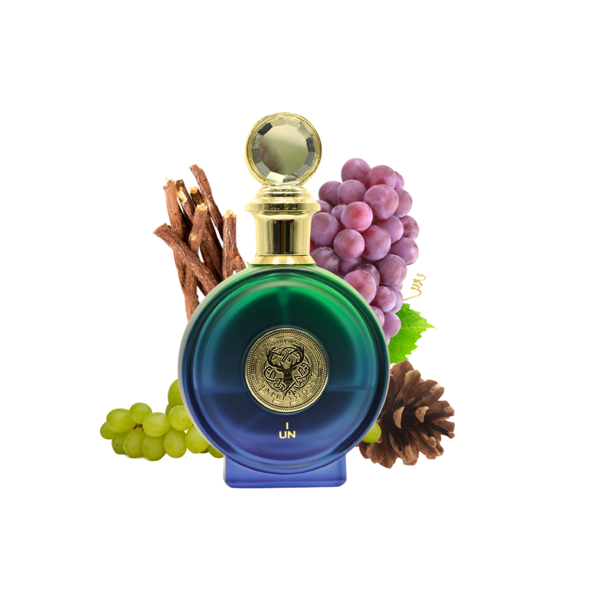 Buy North Stag Expressions I UN winter perfumes for men – Aroma