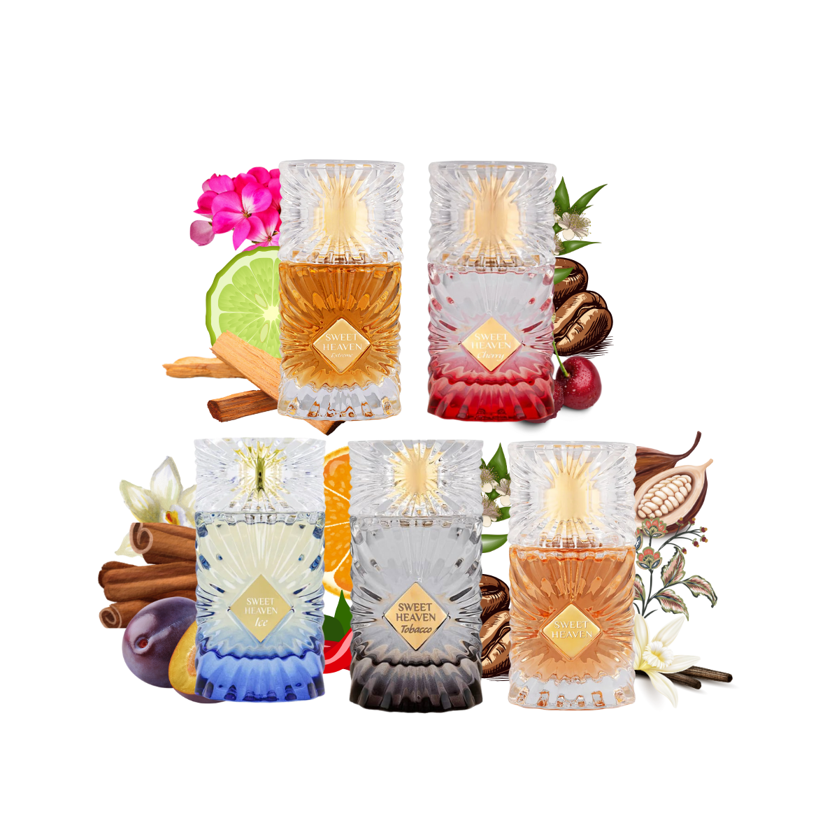 Sweet Heaven 20ml Discovery Set Gulf Orchid