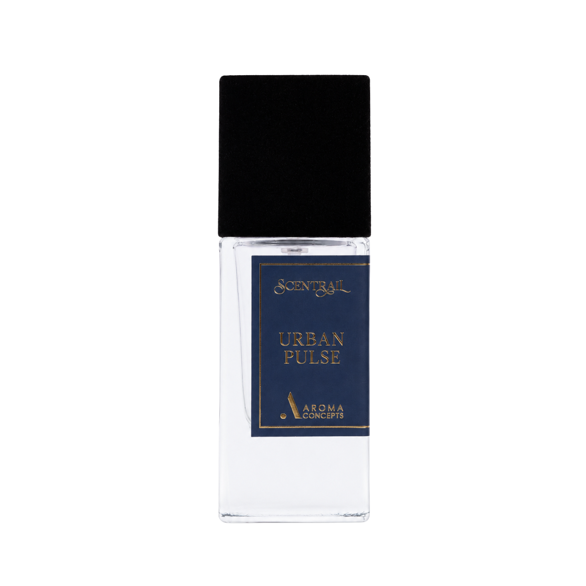 perfume set of scentrail - suede trace, golden layal, urban pulse