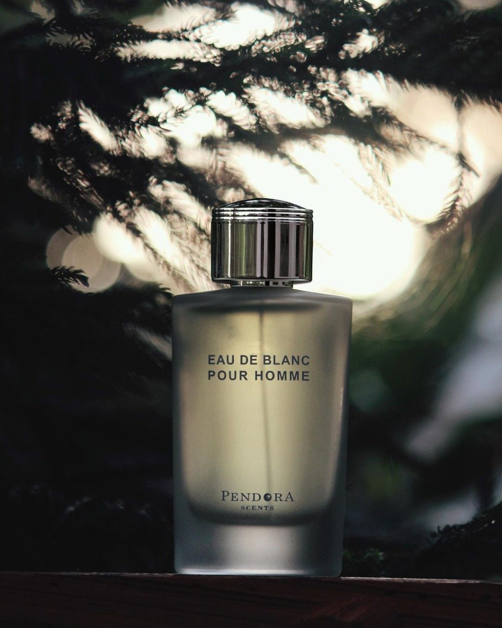 Pour homme blanc cheap eau de parfum